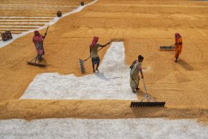 Photo Training for Temporary Workers